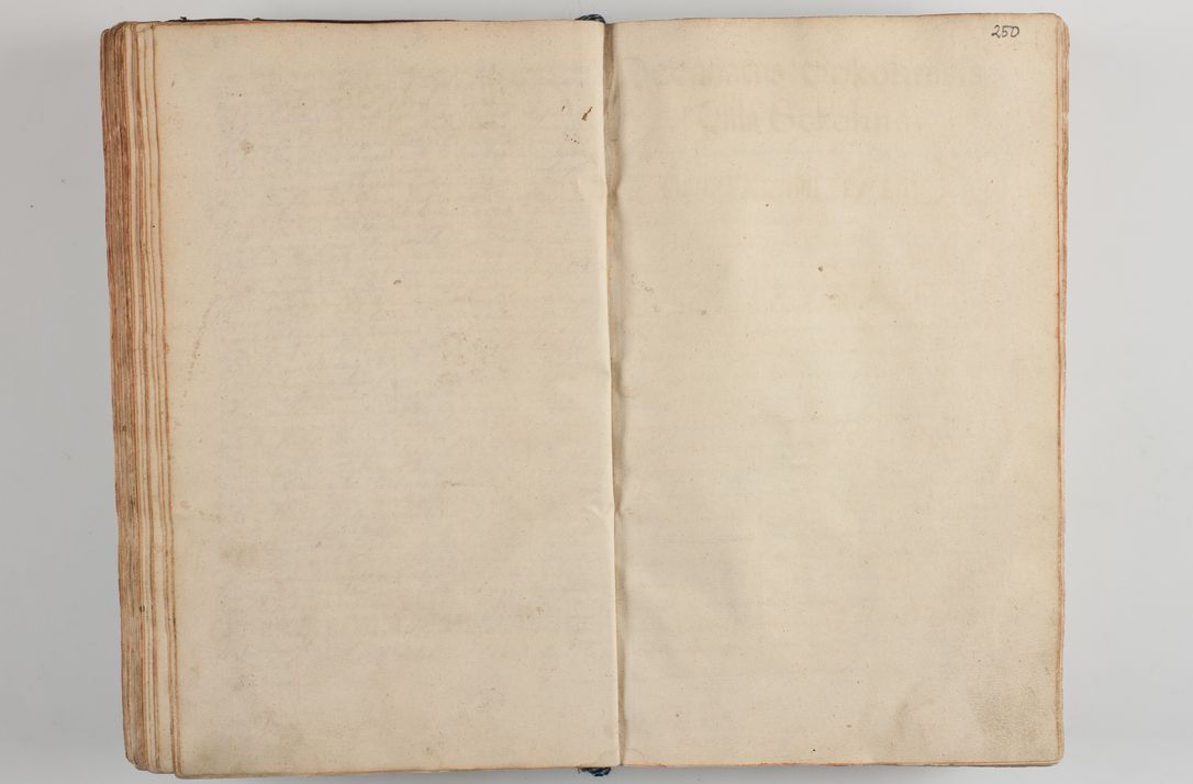 Zdjęcie nr 261 dla obiektu archiwalnego: Compendium actorum visitationis exterioris ecclesiarum existentium in et sub decanatu Pilsnensi, Mielecensi, Ropczicensi, Biecensi, Jaslensi et Żmigrodensi, ad archidiaconatum Sandecensem pertinentium, per R. D. Christophorum Kazimirski, praepositum Tarnoviensem mandato Illustrissimi et Reverendissimi Domini Georgii S. R. E. Cardinalis praesbiteri Radziwiłł nuncupati, episcopatus Cracoviensis administratoris perpetui, in Olyka et Nieswierz ducis a. D. 1595 factae