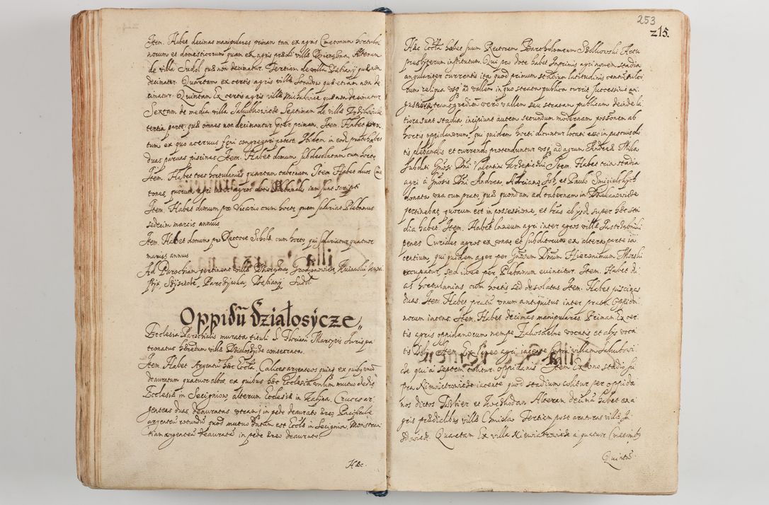 Zdjęcie nr 265 dla obiektu archiwalnego: Compendium actorum visitationis exterioris ecclesiarum existentium in et sub decanatu Pilsnensi, Mielecensi, Ropczicensi, Biecensi, Jaslensi et Żmigrodensi, ad archidiaconatum Sandecensem pertinentium, per R. D. Christophorum Kazimirski, praepositum Tarnoviensem mandato Illustrissimi et Reverendissimi Domini Georgii S. R. E. Cardinalis praesbiteri Radziwiłł nuncupati, episcopatus Cracoviensis administratoris perpetui, in Olyka et Nieswierz ducis a. D. 1595 factae