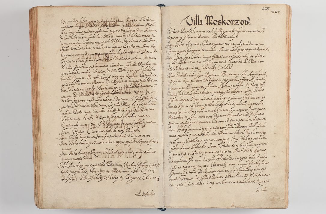 Zdjęcie nr 277 dla obiektu archiwalnego: Compendium actorum visitationis exterioris ecclesiarum existentium in et sub decanatu Pilsnensi, Mielecensi, Ropczicensi, Biecensi, Jaslensi et Żmigrodensi, ad archidiaconatum Sandecensem pertinentium, per R. D. Christophorum Kazimirski, praepositum Tarnoviensem mandato Illustrissimi et Reverendissimi Domini Georgii S. R. E. Cardinalis praesbiteri Radziwiłł nuncupati, episcopatus Cracoviensis administratoris perpetui, in Olyka et Nieswierz ducis a. D. 1595 factae
