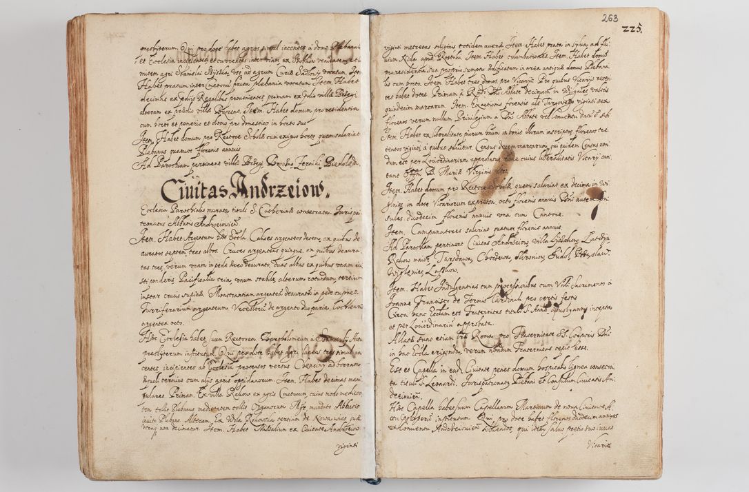 Zdjęcie nr 275 dla obiektu archiwalnego: Compendium actorum visitationis exterioris ecclesiarum existentium in et sub decanatu Pilsnensi, Mielecensi, Ropczicensi, Biecensi, Jaslensi et Żmigrodensi, ad archidiaconatum Sandecensem pertinentium, per R. D. Christophorum Kazimirski, praepositum Tarnoviensem mandato Illustrissimi et Reverendissimi Domini Georgii S. R. E. Cardinalis praesbiteri Radziwiłł nuncupati, episcopatus Cracoviensis administratoris perpetui, in Olyka et Nieswierz ducis a. D. 1595 factae