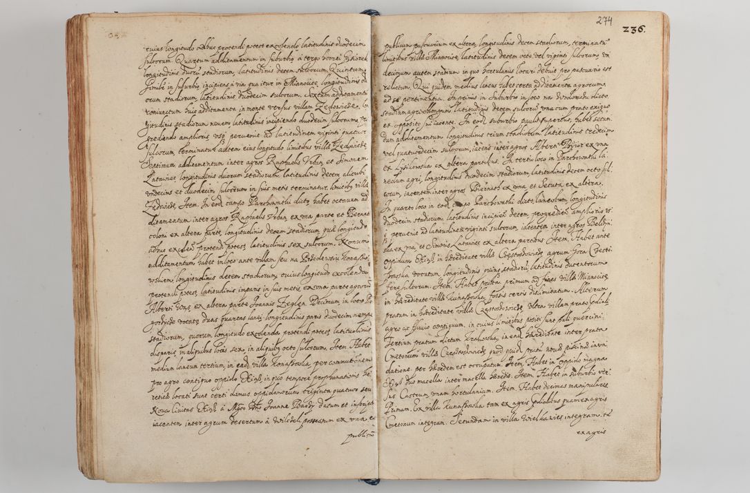 Zdjęcie nr 286 dla obiektu archiwalnego: Compendium actorum visitationis exterioris ecclesiarum existentium in et sub decanatu Pilsnensi, Mielecensi, Ropczicensi, Biecensi, Jaslensi et Żmigrodensi, ad archidiaconatum Sandecensem pertinentium, per R. D. Christophorum Kazimirski, praepositum Tarnoviensem mandato Illustrissimi et Reverendissimi Domini Georgii S. R. E. Cardinalis praesbiteri Radziwiłł nuncupati, episcopatus Cracoviensis administratoris perpetui, in Olyka et Nieswierz ducis a. D. 1595 factae