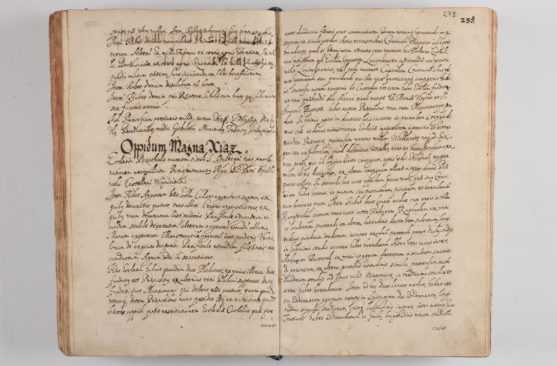 Zdjęcie nr 285 dla obiektu archiwalnego: Compendium actorum visitationis exterioris ecclesiarum existentium in et sub decanatu Pilsnensi, Mielecensi, Ropczicensi, Biecensi, Jaslensi et Żmigrodensi, ad archidiaconatum Sandecensem pertinentium, per R. D. Christophorum Kazimirski, praepositum Tarnoviensem mandato Illustrissimi et Reverendissimi Domini Georgii S. R. E. Cardinalis praesbiteri Radziwiłł nuncupati, episcopatus Cracoviensis administratoris perpetui, in Olyka et Nieswierz ducis a. D. 1595 factae