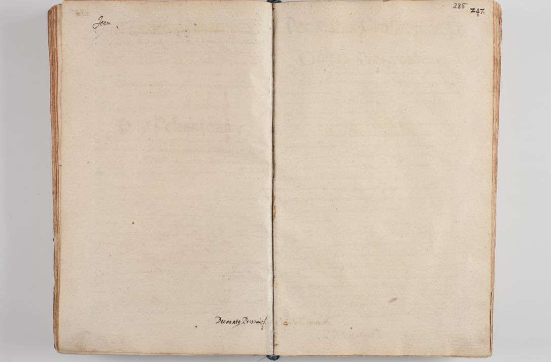 Zdjęcie nr 298 dla obiektu archiwalnego: Compendium actorum visitationis exterioris ecclesiarum existentium in et sub decanatu Pilsnensi, Mielecensi, Ropczicensi, Biecensi, Jaslensi et Żmigrodensi, ad archidiaconatum Sandecensem pertinentium, per R. D. Christophorum Kazimirski, praepositum Tarnoviensem mandato Illustrissimi et Reverendissimi Domini Georgii S. R. E. Cardinalis praesbiteri Radziwiłł nuncupati, episcopatus Cracoviensis administratoris perpetui, in Olyka et Nieswierz ducis a. D. 1595 factae