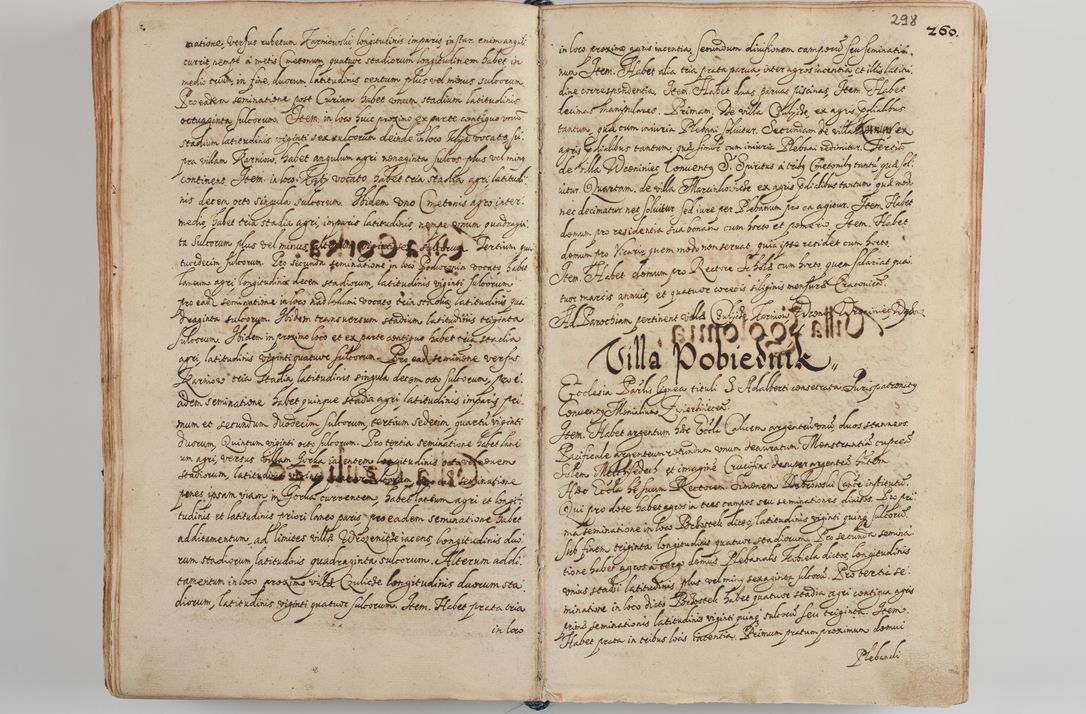 Zdjęcie nr 311 dla obiektu archiwalnego: Compendium actorum visitationis exterioris ecclesiarum existentium in et sub decanatu Pilsnensi, Mielecensi, Ropczicensi, Biecensi, Jaslensi et Żmigrodensi, ad archidiaconatum Sandecensem pertinentium, per R. D. Christophorum Kazimirski, praepositum Tarnoviensem mandato Illustrissimi et Reverendissimi Domini Georgii S. R. E. Cardinalis praesbiteri Radziwiłł nuncupati, episcopatus Cracoviensis administratoris perpetui, in Olyka et Nieswierz ducis a. D. 1595 factae