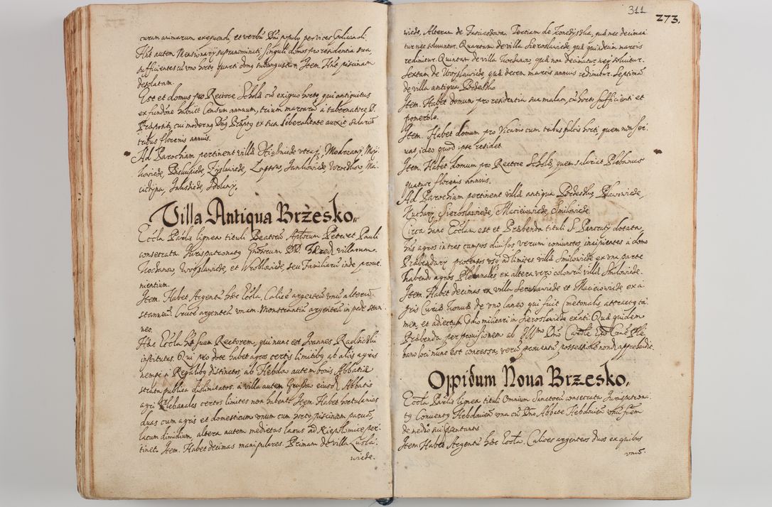 Zdjęcie nr 324 dla obiektu archiwalnego: Compendium actorum visitationis exterioris ecclesiarum existentium in et sub decanatu Pilsnensi, Mielecensi, Ropczicensi, Biecensi, Jaslensi et Żmigrodensi, ad archidiaconatum Sandecensem pertinentium, per R. D. Christophorum Kazimirski, praepositum Tarnoviensem mandato Illustrissimi et Reverendissimi Domini Georgii S. R. E. Cardinalis praesbiteri Radziwiłł nuncupati, episcopatus Cracoviensis administratoris perpetui, in Olyka et Nieswierz ducis a. D. 1595 factae