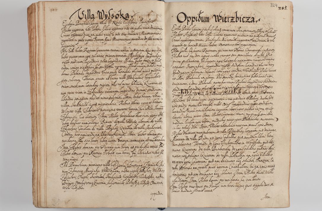 Zdjęcie nr 337 dla obiektu archiwalnego: Compendium actorum visitationis exterioris ecclesiarum existentium in et sub decanatu Pilsnensi, Mielecensi, Ropczicensi, Biecensi, Jaslensi et Żmigrodensi, ad archidiaconatum Sandecensem pertinentium, per R. D. Christophorum Kazimirski, praepositum Tarnoviensem mandato Illustrissimi et Reverendissimi Domini Georgii S. R. E. Cardinalis praesbiteri Radziwiłł nuncupati, episcopatus Cracoviensis administratoris perpetui, in Olyka et Nieswierz ducis a. D. 1595 factae