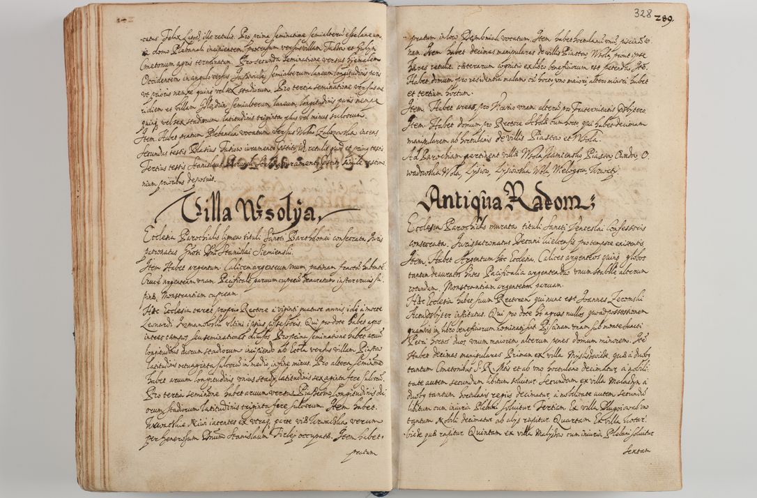 Zdjęcie nr 341 dla obiektu archiwalnego: Compendium actorum visitationis exterioris ecclesiarum existentium in et sub decanatu Pilsnensi, Mielecensi, Ropczicensi, Biecensi, Jaslensi et Żmigrodensi, ad archidiaconatum Sandecensem pertinentium, per R. D. Christophorum Kazimirski, praepositum Tarnoviensem mandato Illustrissimi et Reverendissimi Domini Georgii S. R. E. Cardinalis praesbiteri Radziwiłł nuncupati, episcopatus Cracoviensis administratoris perpetui, in Olyka et Nieswierz ducis a. D. 1595 factae