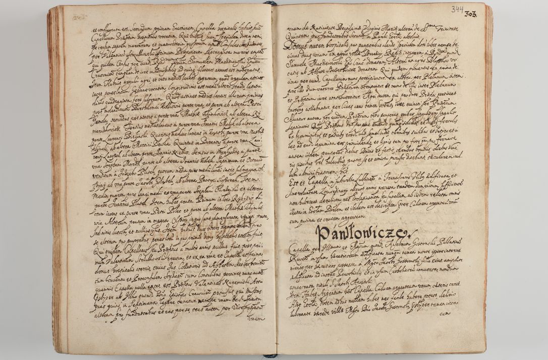 Zdjęcie nr 358 dla obiektu archiwalnego: Compendium actorum visitationis exterioris ecclesiarum existentium in et sub decanatu Pilsnensi, Mielecensi, Ropczicensi, Biecensi, Jaslensi et Żmigrodensi, ad archidiaconatum Sandecensem pertinentium, per R. D. Christophorum Kazimirski, praepositum Tarnoviensem mandato Illustrissimi et Reverendissimi Domini Georgii S. R. E. Cardinalis praesbiteri Radziwiłł nuncupati, episcopatus Cracoviensis administratoris perpetui, in Olyka et Nieswierz ducis a. D. 1595 factae