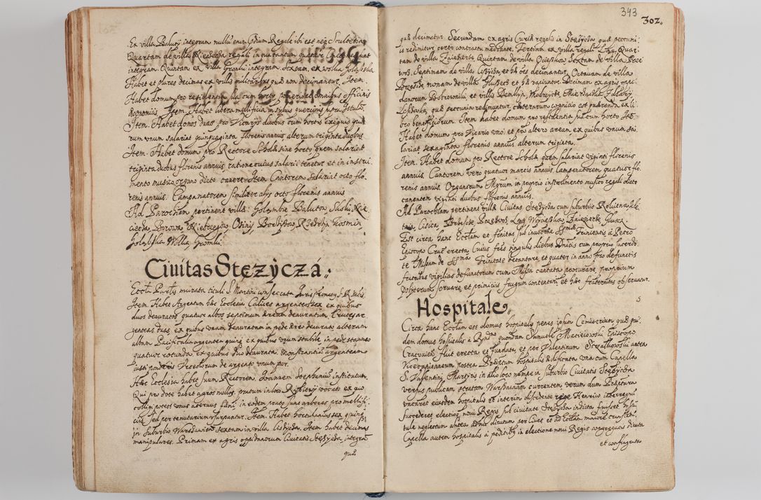 Zdjęcie nr 357 dla obiektu archiwalnego: Compendium actorum visitationis exterioris ecclesiarum existentium in et sub decanatu Pilsnensi, Mielecensi, Ropczicensi, Biecensi, Jaslensi et Żmigrodensi, ad archidiaconatum Sandecensem pertinentium, per R. D. Christophorum Kazimirski, praepositum Tarnoviensem mandato Illustrissimi et Reverendissimi Domini Georgii S. R. E. Cardinalis praesbiteri Radziwiłł nuncupati, episcopatus Cracoviensis administratoris perpetui, in Olyka et Nieswierz ducis a. D. 1595 factae