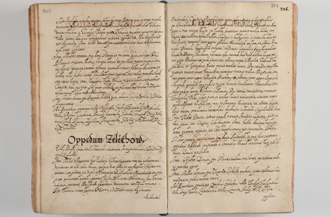 Zdjęcie nr 361 dla obiektu archiwalnego: Compendium actorum visitationis exterioris ecclesiarum existentium in et sub decanatu Pilsnensi, Mielecensi, Ropczicensi, Biecensi, Jaslensi et Żmigrodensi, ad archidiaconatum Sandecensem pertinentium, per R. D. Christophorum Kazimirski, praepositum Tarnoviensem mandato Illustrissimi et Reverendissimi Domini Georgii S. R. E. Cardinalis praesbiteri Radziwiłł nuncupati, episcopatus Cracoviensis administratoris perpetui, in Olyka et Nieswierz ducis a. D. 1595 factae