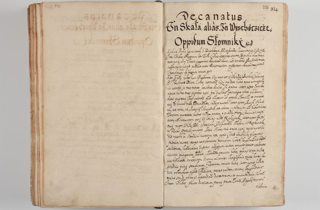 Zdjęcie nr 370 dla obiektu archiwalnego: Compendium actorum visitationis exterioris ecclesiarum existentium in et sub decanatu Pilsnensi, Mielecensi, Ropczicensi, Biecensi, Jaslensi et Żmigrodensi, ad archidiaconatum Sandecensem pertinentium, per R. D. Christophorum Kazimirski, praepositum Tarnoviensem mandato Illustrissimi et Reverendissimi Domini Georgii S. R. E. Cardinalis praesbiteri Radziwiłł nuncupati, episcopatus Cracoviensis administratoris perpetui, in Olyka et Nieswierz ducis a. D. 1595 factae