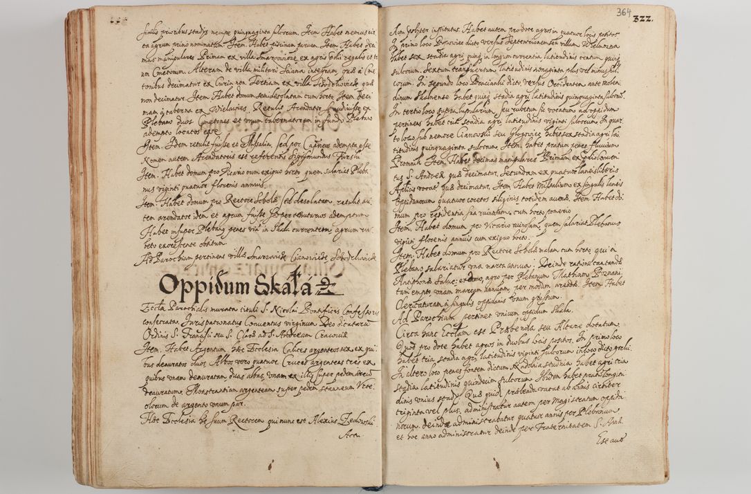 Zdjęcie nr 378 dla obiektu archiwalnego: Compendium actorum visitationis exterioris ecclesiarum existentium in et sub decanatu Pilsnensi, Mielecensi, Ropczicensi, Biecensi, Jaslensi et Żmigrodensi, ad archidiaconatum Sandecensem pertinentium, per R. D. Christophorum Kazimirski, praepositum Tarnoviensem mandato Illustrissimi et Reverendissimi Domini Georgii S. R. E. Cardinalis praesbiteri Radziwiłł nuncupati, episcopatus Cracoviensis administratoris perpetui, in Olyka et Nieswierz ducis a. D. 1595 factae