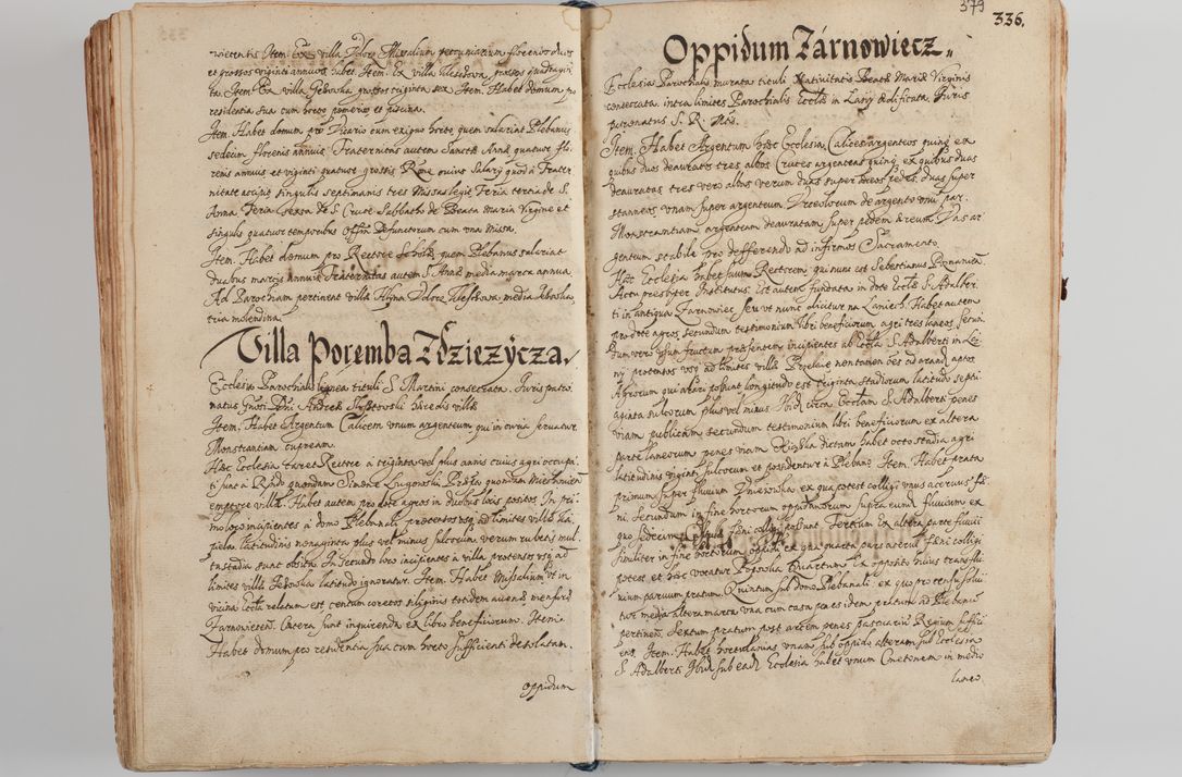 Zdjęcie nr 394 dla obiektu archiwalnego: Compendium actorum visitationis exterioris ecclesiarum existentium in et sub decanatu Pilsnensi, Mielecensi, Ropczicensi, Biecensi, Jaslensi et Żmigrodensi, ad archidiaconatum Sandecensem pertinentium, per R. D. Christophorum Kazimirski, praepositum Tarnoviensem mandato Illustrissimi et Reverendissimi Domini Georgii S. R. E. Cardinalis praesbiteri Radziwiłł nuncupati, episcopatus Cracoviensis administratoris perpetui, in Olyka et Nieswierz ducis a. D. 1595 factae