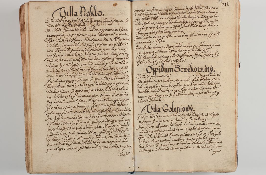 Zdjęcie nr 399 dla obiektu archiwalnego: Compendium actorum visitationis exterioris ecclesiarum existentium in et sub decanatu Pilsnensi, Mielecensi, Ropczicensi, Biecensi, Jaslensi et Żmigrodensi, ad archidiaconatum Sandecensem pertinentium, per R. D. Christophorum Kazimirski, praepositum Tarnoviensem mandato Illustrissimi et Reverendissimi Domini Georgii S. R. E. Cardinalis praesbiteri Radziwiłł nuncupati, episcopatus Cracoviensis administratoris perpetui, in Olyka et Nieswierz ducis a. D. 1595 factae