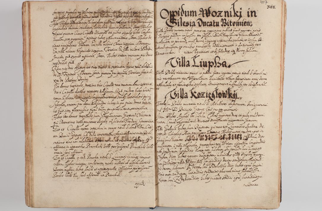 Zdjęcie nr 423 dla obiektu archiwalnego: Compendium actorum visitationis exterioris ecclesiarum existentium in et sub decanatu Pilsnensi, Mielecensi, Ropczicensi, Biecensi, Jaslensi et Żmigrodensi, ad archidiaconatum Sandecensem pertinentium, per R. D. Christophorum Kazimirski, praepositum Tarnoviensem mandato Illustrissimi et Reverendissimi Domini Georgii S. R. E. Cardinalis praesbiteri Radziwiłł nuncupati, episcopatus Cracoviensis administratoris perpetui, in Olyka et Nieswierz ducis a. D. 1595 factae