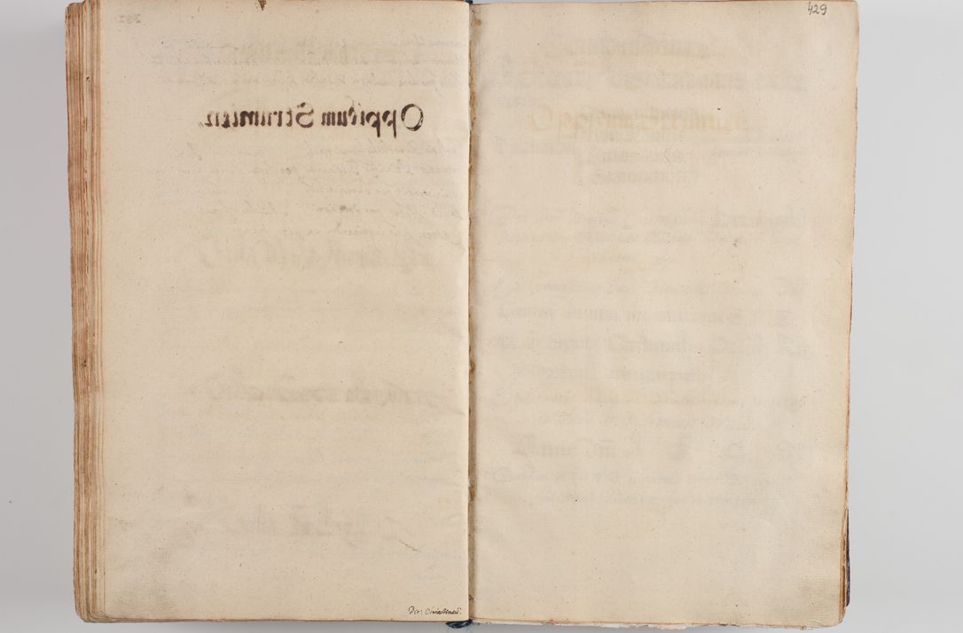Zdjęcie nr 445 dla obiektu archiwalnego: Compendium actorum visitationis exterioris ecclesiarum existentium in et sub decanatu Pilsnensi, Mielecensi, Ropczicensi, Biecensi, Jaslensi et Żmigrodensi, ad archidiaconatum Sandecensem pertinentium, per R. D. Christophorum Kazimirski, praepositum Tarnoviensem mandato Illustrissimi et Reverendissimi Domini Georgii S. R. E. Cardinalis praesbiteri Radziwiłł nuncupati, episcopatus Cracoviensis administratoris perpetui, in Olyka et Nieswierz ducis a. D. 1595 factae