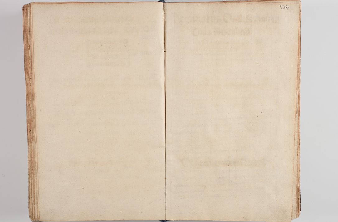 Zdjęcie nr 448 dla obiektu archiwalnego: Compendium actorum visitationis exterioris ecclesiarum existentium in et sub decanatu Pilsnensi, Mielecensi, Ropczicensi, Biecensi, Jaslensi et Żmigrodensi, ad archidiaconatum Sandecensem pertinentium, per R. D. Christophorum Kazimirski, praepositum Tarnoviensem mandato Illustrissimi et Reverendissimi Domini Georgii S. R. E. Cardinalis praesbiteri Radziwiłł nuncupati, episcopatus Cracoviensis administratoris perpetui, in Olyka et Nieswierz ducis a. D. 1595 factae