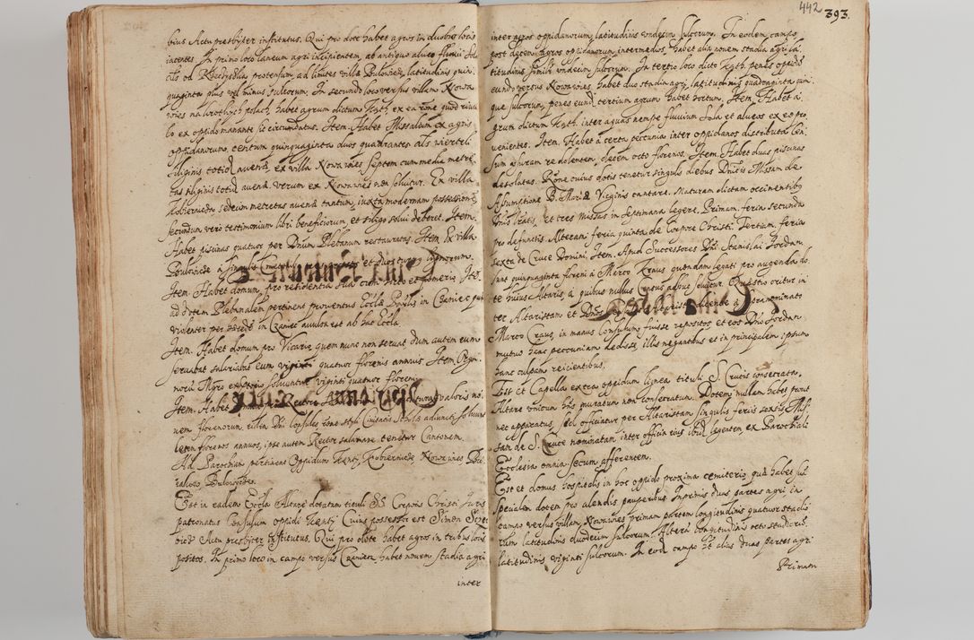 Zdjęcie nr 458 dla obiektu archiwalnego: Compendium actorum visitationis exterioris ecclesiarum existentium in et sub decanatu Pilsnensi, Mielecensi, Ropczicensi, Biecensi, Jaslensi et Żmigrodensi, ad archidiaconatum Sandecensem pertinentium, per R. D. Christophorum Kazimirski, praepositum Tarnoviensem mandato Illustrissimi et Reverendissimi Domini Georgii S. R. E. Cardinalis praesbiteri Radziwiłł nuncupati, episcopatus Cracoviensis administratoris perpetui, in Olyka et Nieswierz ducis a. D. 1595 factae