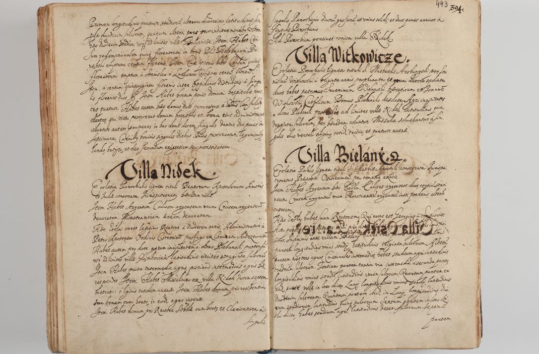 Zdjęcie nr 459 dla obiektu archiwalnego: Compendium actorum visitationis exterioris ecclesiarum existentium in et sub decanatu Pilsnensi, Mielecensi, Ropczicensi, Biecensi, Jaslensi et Żmigrodensi, ad archidiaconatum Sandecensem pertinentium, per R. D. Christophorum Kazimirski, praepositum Tarnoviensem mandato Illustrissimi et Reverendissimi Domini Georgii S. R. E. Cardinalis praesbiteri Radziwiłł nuncupati, episcopatus Cracoviensis administratoris perpetui, in Olyka et Nieswierz ducis a. D. 1595 factae