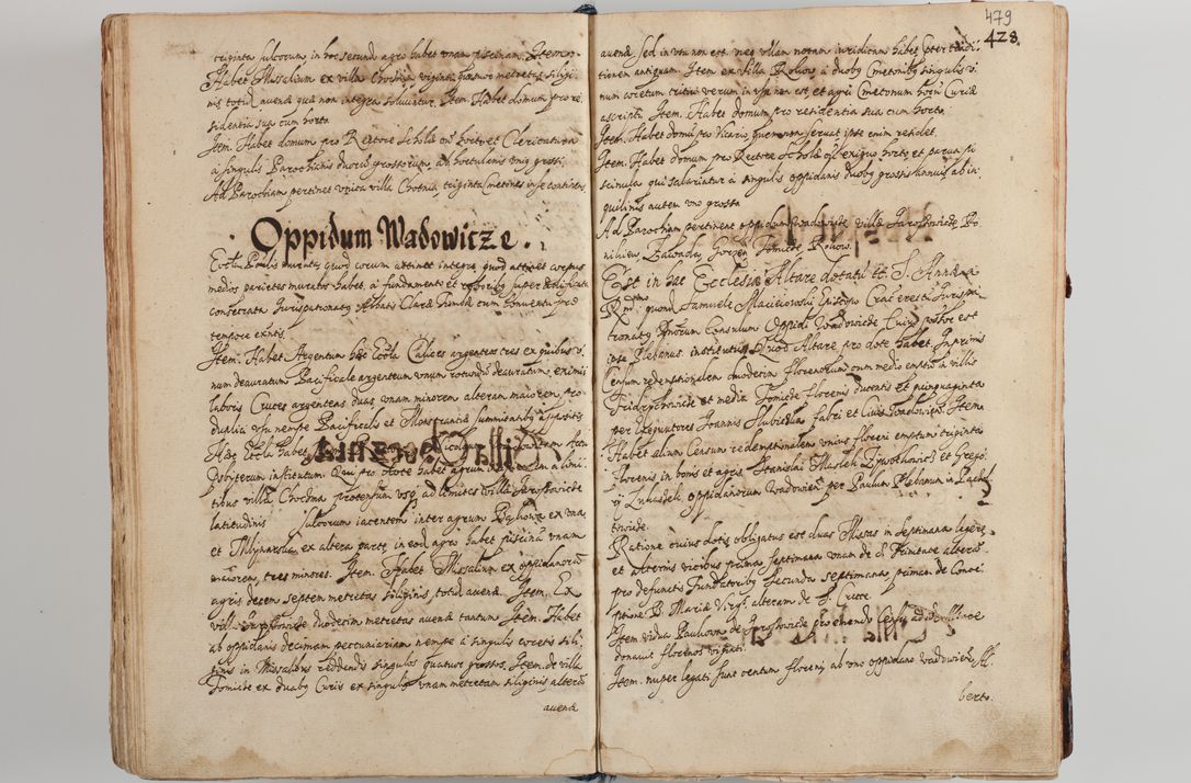 Zdjęcie nr 497 dla obiektu archiwalnego: Compendium actorum visitationis exterioris ecclesiarum existentium in et sub decanatu Pilsnensi, Mielecensi, Ropczicensi, Biecensi, Jaslensi et Żmigrodensi, ad archidiaconatum Sandecensem pertinentium, per R. D. Christophorum Kazimirski, praepositum Tarnoviensem mandato Illustrissimi et Reverendissimi Domini Georgii S. R. E. Cardinalis praesbiteri Radziwiłł nuncupati, episcopatus Cracoviensis administratoris perpetui, in Olyka et Nieswierz ducis a. D. 1595 factae