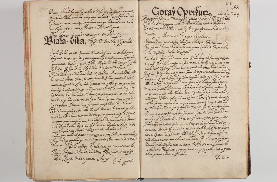 Zdjęcie nr 538 dla obiektu archiwalnego: Compendium actorum visitationis exterioris ecclesiarum existentium in et sub decanatu Pilsnensi, Mielecensi, Ropczicensi, Biecensi, Jaslensi et Żmigrodensi, ad archidiaconatum Sandecensem pertinentium, per R. D. Christophorum Kazimirski, praepositum Tarnoviensem mandato Illustrissimi et Reverendissimi Domini Georgii S. R. E. Cardinalis praesbiteri Radziwiłł nuncupati, episcopatus Cracoviensis administratoris perpetui, in Olyka et Nieswierz ducis a. D. 1595 factae