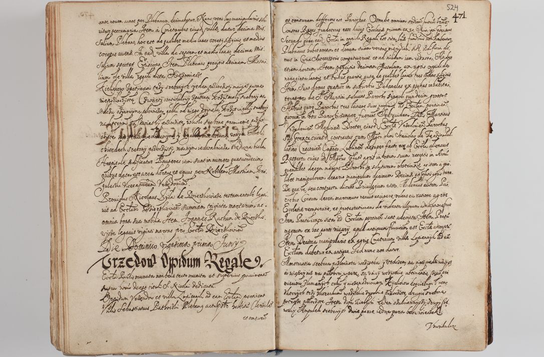 Zdjęcie nr 544 dla obiektu archiwalnego: Compendium actorum visitationis exterioris ecclesiarum existentium in et sub decanatu Pilsnensi, Mielecensi, Ropczicensi, Biecensi, Jaslensi et Żmigrodensi, ad archidiaconatum Sandecensem pertinentium, per R. D. Christophorum Kazimirski, praepositum Tarnoviensem mandato Illustrissimi et Reverendissimi Domini Georgii S. R. E. Cardinalis praesbiteri Radziwiłł nuncupati, episcopatus Cracoviensis administratoris perpetui, in Olyka et Nieswierz ducis a. D. 1595 factae