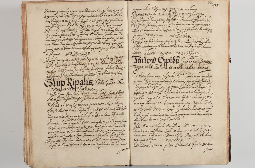 Zdjęcie nr 550 dla obiektu archiwalnego: Compendium actorum visitationis exterioris ecclesiarum existentium in et sub decanatu Pilsnensi, Mielecensi, Ropczicensi, Biecensi, Jaslensi et Żmigrodensi, ad archidiaconatum Sandecensem pertinentium, per R. D. Christophorum Kazimirski, praepositum Tarnoviensem mandato Illustrissimi et Reverendissimi Domini Georgii S. R. E. Cardinalis praesbiteri Radziwiłł nuncupati, episcopatus Cracoviensis administratoris perpetui, in Olyka et Nieswierz ducis a. D. 1595 factae