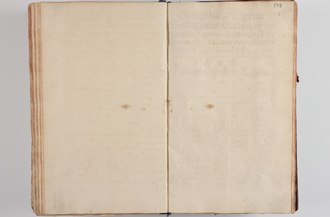 Zdjęcie nr 569 dla obiektu archiwalnego: Compendium actorum visitationis exterioris ecclesiarum existentium in et sub decanatu Pilsnensi, Mielecensi, Ropczicensi, Biecensi, Jaslensi et Żmigrodensi, ad archidiaconatum Sandecensem pertinentium, per R. D. Christophorum Kazimirski, praepositum Tarnoviensem mandato Illustrissimi et Reverendissimi Domini Georgii S. R. E. Cardinalis praesbiteri Radziwiłł nuncupati, episcopatus Cracoviensis administratoris perpetui, in Olyka et Nieswierz ducis a. D. 1595 factae