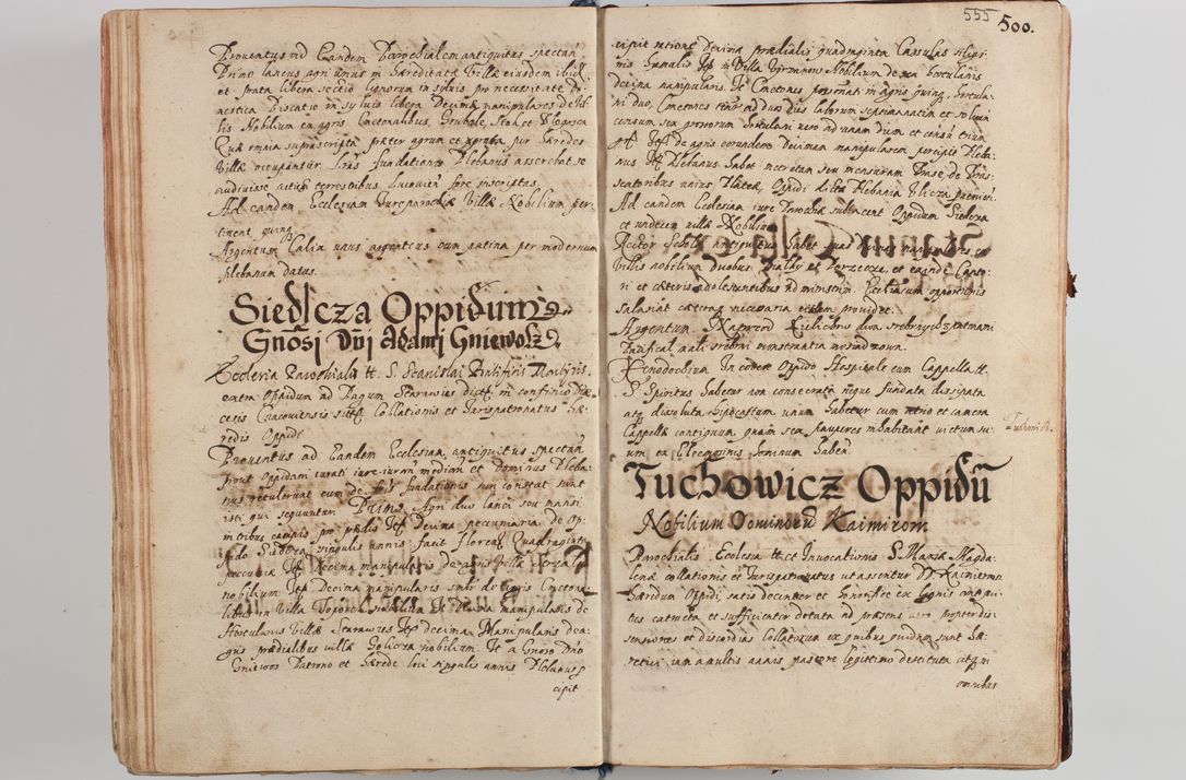 Zdjęcie nr 575 dla obiektu archiwalnego: Compendium actorum visitationis exterioris ecclesiarum existentium in et sub decanatu Pilsnensi, Mielecensi, Ropczicensi, Biecensi, Jaslensi et Żmigrodensi, ad archidiaconatum Sandecensem pertinentium, per R. D. Christophorum Kazimirski, praepositum Tarnoviensem mandato Illustrissimi et Reverendissimi Domini Georgii S. R. E. Cardinalis praesbiteri Radziwiłł nuncupati, episcopatus Cracoviensis administratoris perpetui, in Olyka et Nieswierz ducis a. D. 1595 factae