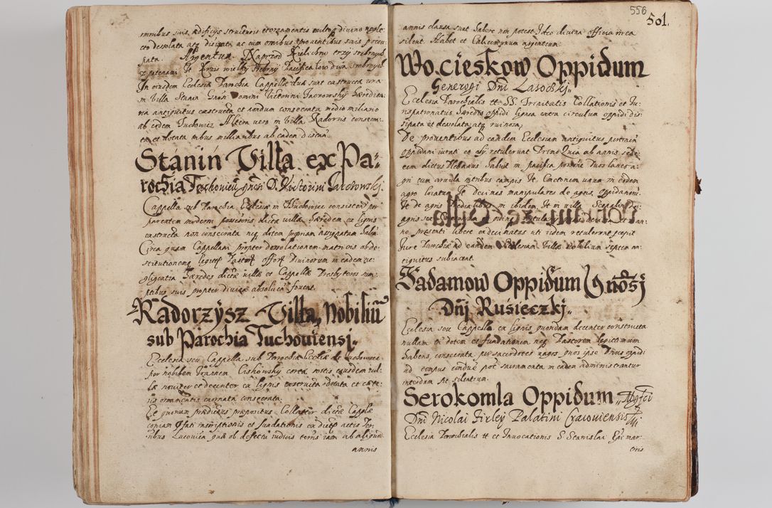 Zdjęcie nr 576 dla obiektu archiwalnego: Compendium actorum visitationis exterioris ecclesiarum existentium in et sub decanatu Pilsnensi, Mielecensi, Ropczicensi, Biecensi, Jaslensi et Żmigrodensi, ad archidiaconatum Sandecensem pertinentium, per R. D. Christophorum Kazimirski, praepositum Tarnoviensem mandato Illustrissimi et Reverendissimi Domini Georgii S. R. E. Cardinalis praesbiteri Radziwiłł nuncupati, episcopatus Cracoviensis administratoris perpetui, in Olyka et Nieswierz ducis a. D. 1595 factae