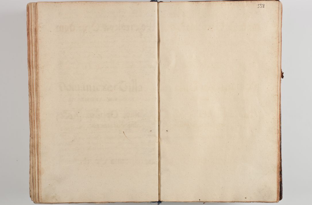 Zdjęcie nr 578 dla obiektu archiwalnego: Compendium actorum visitationis exterioris ecclesiarum existentium in et sub decanatu Pilsnensi, Mielecensi, Ropczicensi, Biecensi, Jaslensi et Żmigrodensi, ad archidiaconatum Sandecensem pertinentium, per R. D. Christophorum Kazimirski, praepositum Tarnoviensem mandato Illustrissimi et Reverendissimi Domini Georgii S. R. E. Cardinalis praesbiteri Radziwiłł nuncupati, episcopatus Cracoviensis administratoris perpetui, in Olyka et Nieswierz ducis a. D. 1595 factae