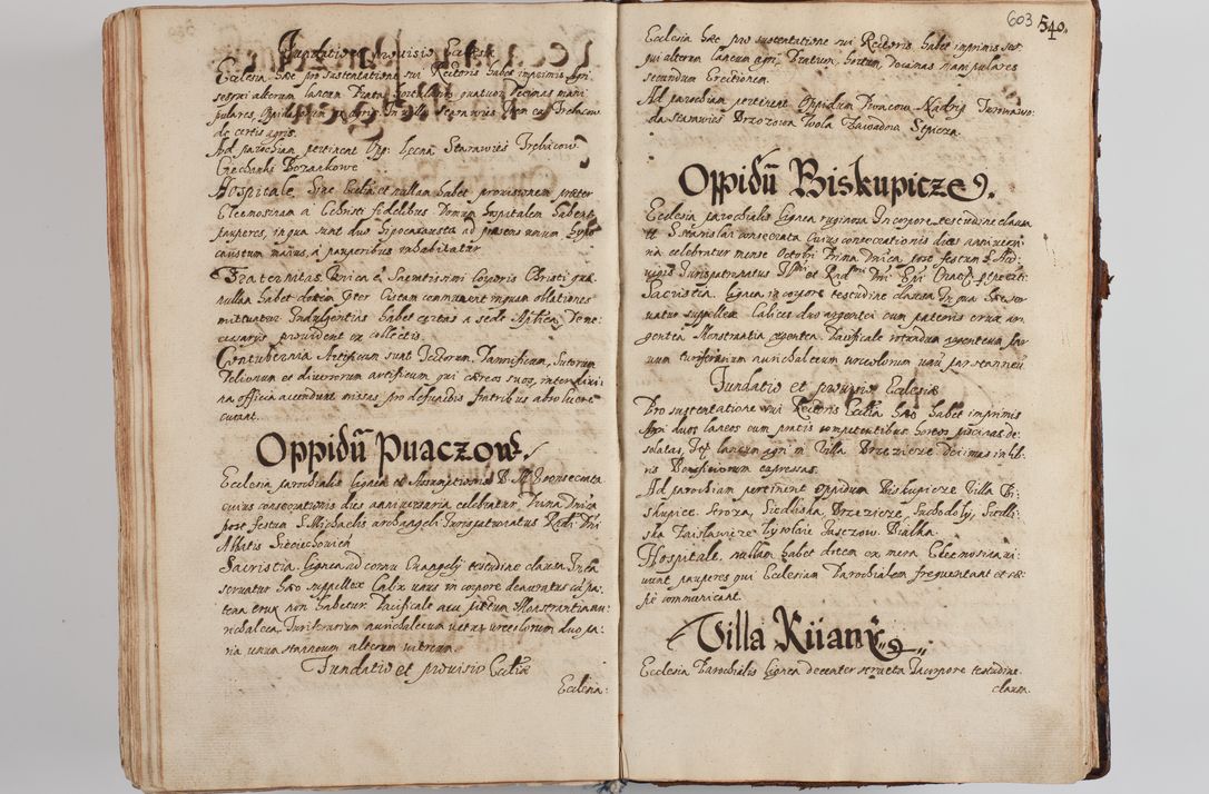 Zdjęcie nr 624 dla obiektu archiwalnego: Compendium actorum visitationis exterioris ecclesiarum existentium in et sub decanatu Pilsnensi, Mielecensi, Ropczicensi, Biecensi, Jaslensi et Żmigrodensi, ad archidiaconatum Sandecensem pertinentium, per R. D. Christophorum Kazimirski, praepositum Tarnoviensem mandato Illustrissimi et Reverendissimi Domini Georgii S. R. E. Cardinalis praesbiteri Radziwiłł nuncupati, episcopatus Cracoviensis administratoris perpetui, in Olyka et Nieswierz ducis a. D. 1595 factae