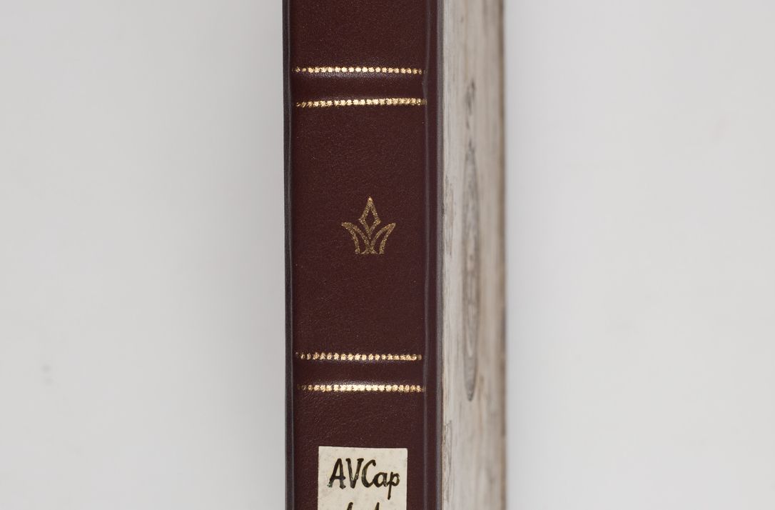 Zdjęcie nr 5 dla obiektu archiwalnego: Acta visitationis exterioris decanatuum: Pacanoviensis, Kijensis, Sokoliensis, Androwiensis, Wrocimoviensis, Proszoviensis, Vitoviensis et Bythomiensis, ad archidiaconatum Cracoviensem pertinentium in anno 1618 factae.
