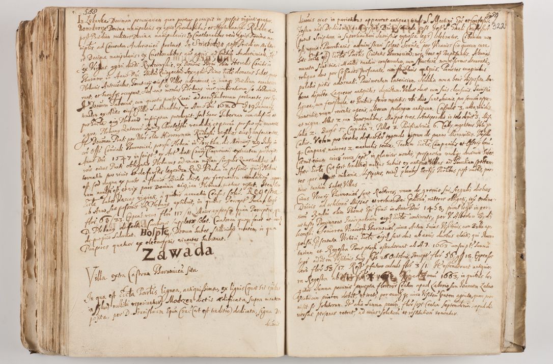 Zdjęcie nr 337 dla obiektu archiwalnego: Acta visitationis per me Alexandrum Mathiam Rudzki Commissarium ad hoc nunus in dusbus decanatibus Lipnicensis et Voynicensis 