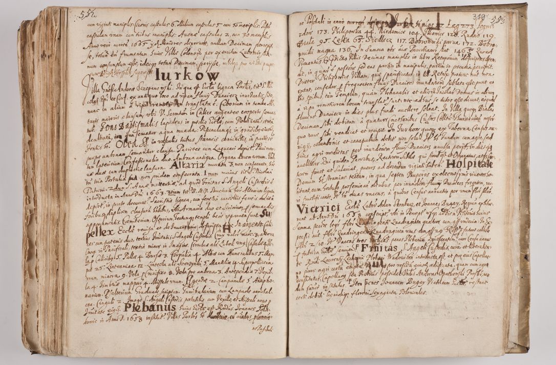 Zdjęcie nr 334 dla obiektu archiwalnego: Acta visitationis per me Alexandrum Mathiam Rudzki Commissarium ad hoc nunus in dusbus decanatibus Lipnicensis et Voynicensis 