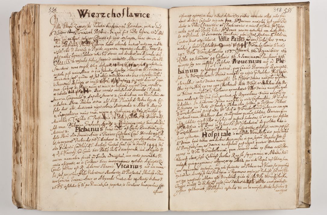 Zdjęcie nr 333 dla obiektu archiwalnego: Acta visitationis per me Alexandrum Mathiam Rudzki Commissarium ad hoc nunus in dusbus decanatibus Lipnicensis et Voynicensis 