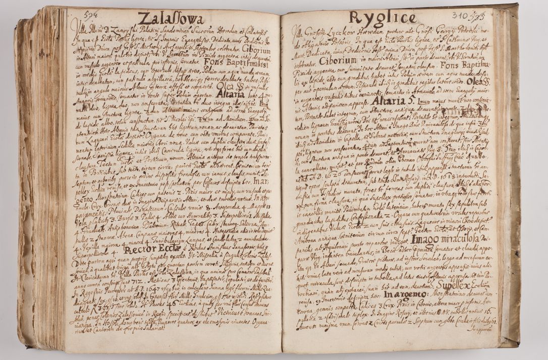 Zdjęcie nr 325 dla obiektu archiwalnego: Acta visitationis per me Alexandrum Mathiam Rudzki Commissarium ad hoc nunus in dusbus decanatibus Lipnicensis et Voynicensis 