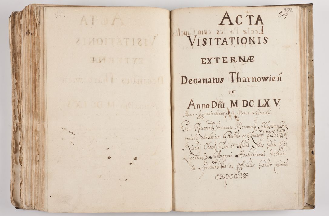 Zdjęcie nr 316 dla obiektu archiwalnego: Acta visitationis per me Alexandrum Mathiam Rudzki Commissarium ad hoc nunus in dusbus decanatibus Lipnicensis et Voynicensis 