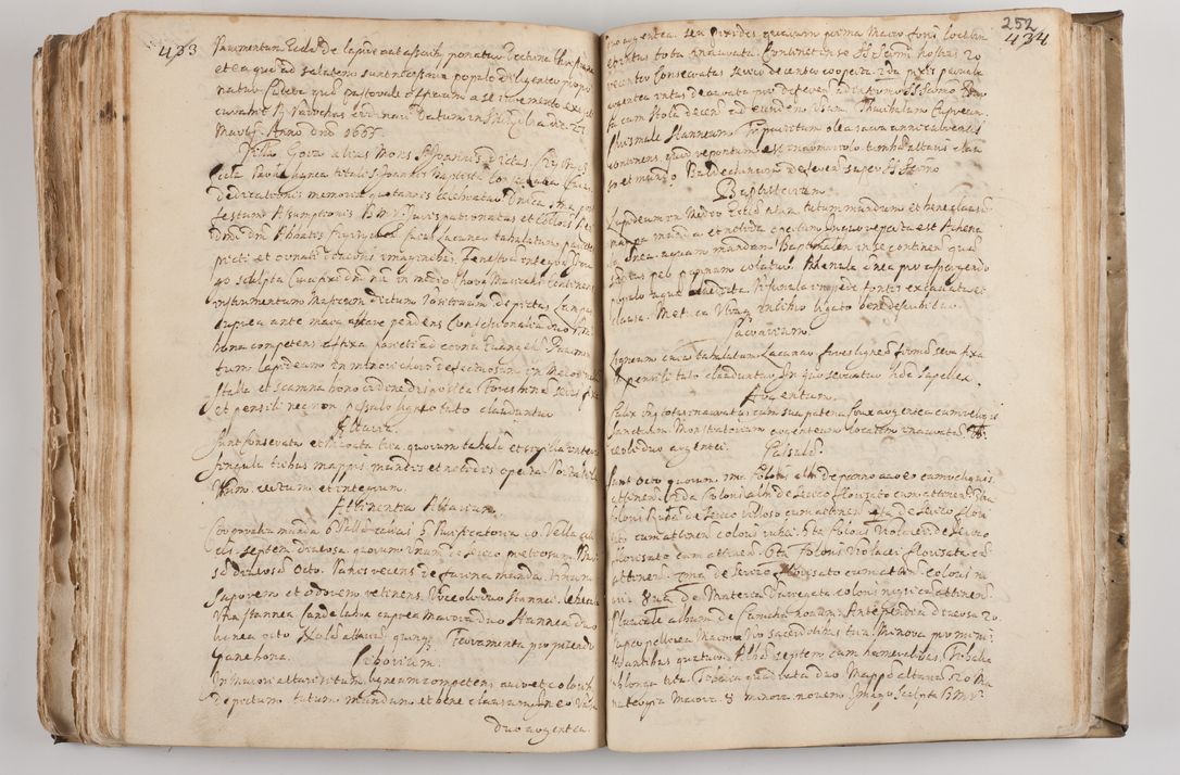 Zdjęcie nr 266 dla obiektu archiwalnego: Acta visitationis per me Alexandrum Mathiam Rudzki Commissarium ad hoc nunus in dusbus decanatibus Lipnicensis et Voynicensis 