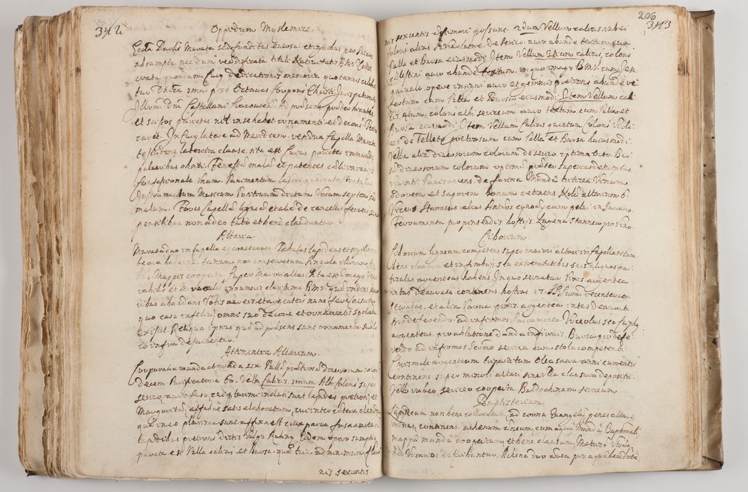 Zdjęcie nr 219 dla obiektu archiwalnego: Acta visitationis per me Alexandrum Mathiam Rudzki Commissarium ad hoc nunus in dusbus decanatibus Lipnicensis et Voynicensis 