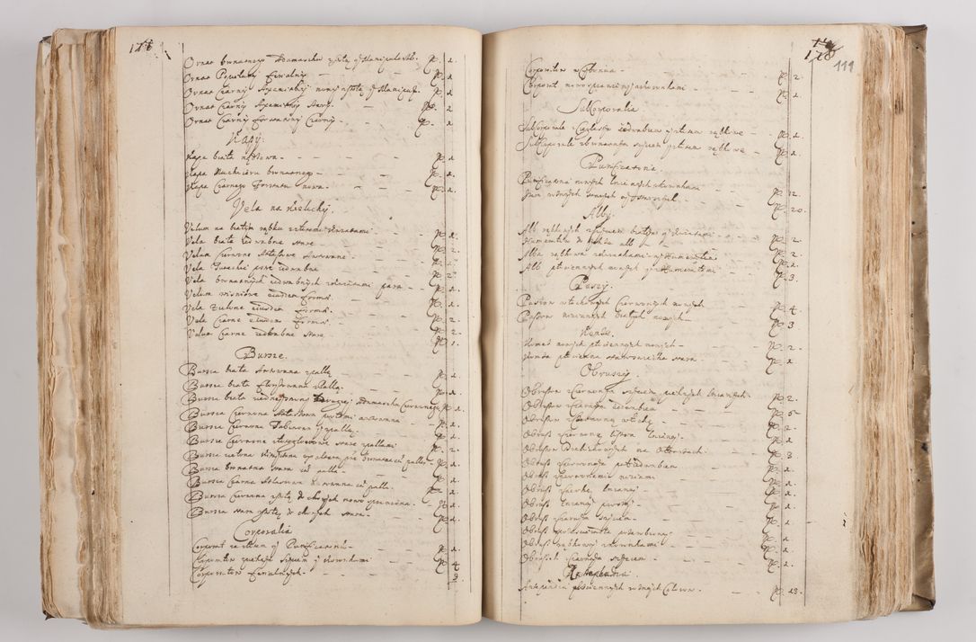 Zdjęcie nr 120 dla obiektu archiwalnego: Acta visitationis per me Alexandrum Mathiam Rudzki Commissarium ad hoc nunus in dusbus decanatibus Lipnicensis et Voynicensis 