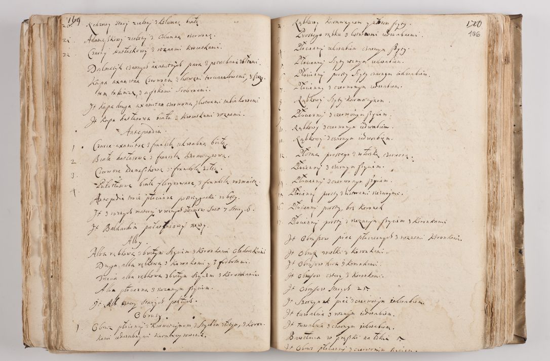 Zdjęcie nr 115 dla obiektu archiwalnego: Acta visitationis per me Alexandrum Mathiam Rudzki Commissarium ad hoc nunus in dusbus decanatibus Lipnicensis et Voynicensis 