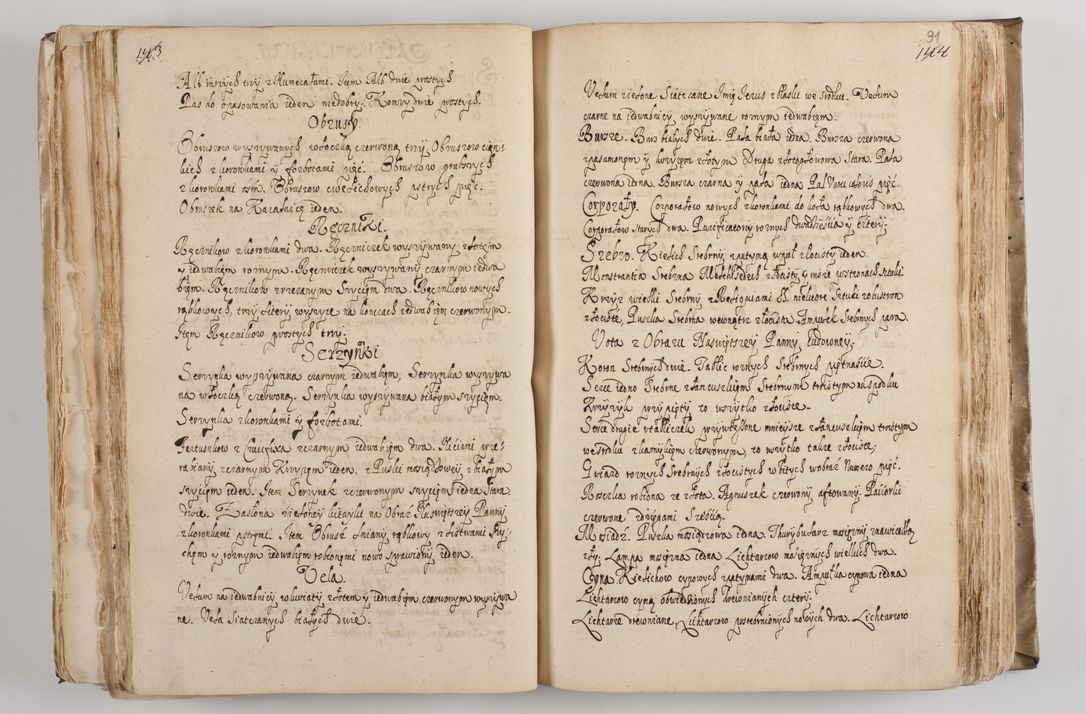 Zdjęcie nr 99 dla obiektu archiwalnego: Acta visitationis per me Alexandrum Mathiam Rudzki Commissarium ad hoc nunus in dusbus decanatibus Lipnicensis et Voynicensis 