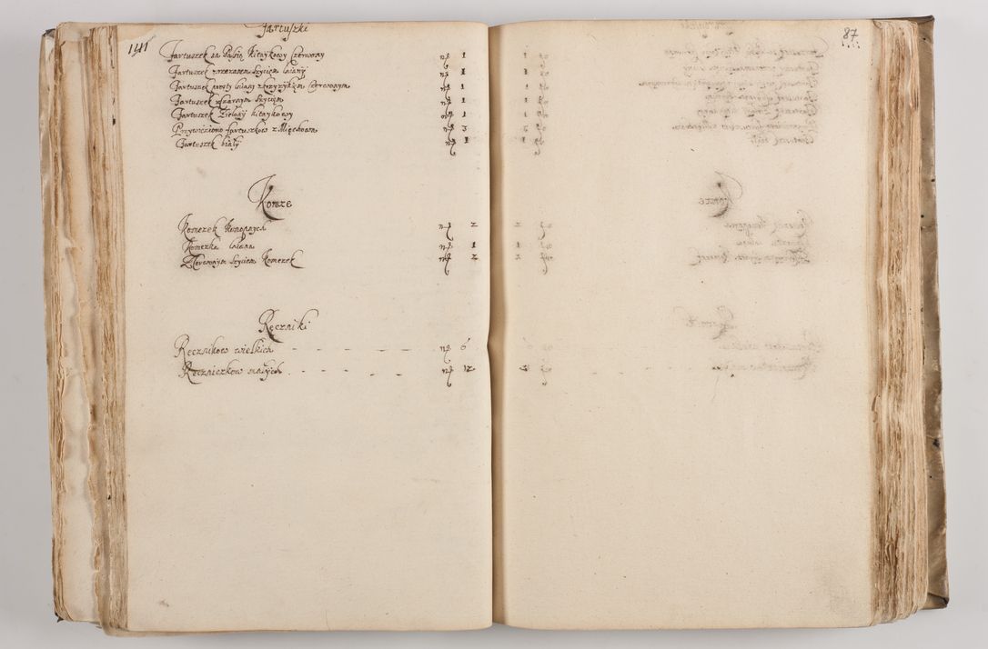 Zdjęcie nr 95 dla obiektu archiwalnego: Acta visitationis per me Alexandrum Mathiam Rudzki Commissarium ad hoc nunus in dusbus decanatibus Lipnicensis et Voynicensis 