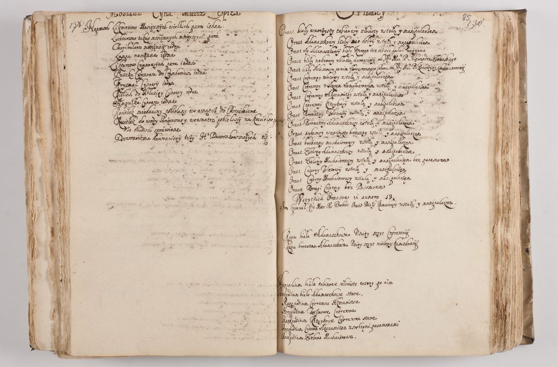 Zdjęcie nr 93 dla obiektu archiwalnego: Acta visitationis per me Alexandrum Mathiam Rudzki Commissarium ad hoc nunus in dusbus decanatibus Lipnicensis et Voynicensis 