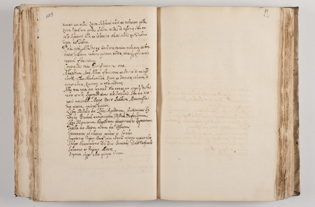 Zdjęcie nr 89 dla obiektu archiwalnego: Acta visitationis per me Alexandrum Mathiam Rudzki Commissarium ad hoc nunus in dusbus decanatibus Lipnicensis et Voynicensis 