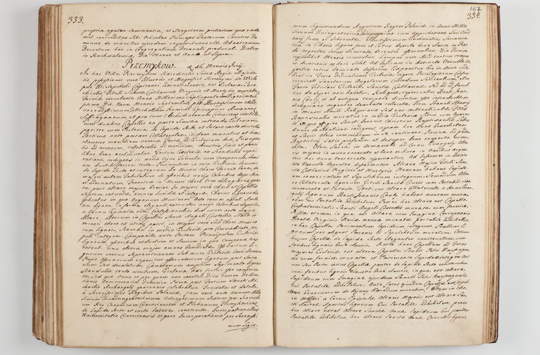 Zdjęcie nr 179 dla obiektu archiwalnego: Acta visitationis decanatus Proszoviensis et Vitoviensis vigore instrumenti delegationis a R. D. Andrea Stanislao Kostka in Załuskie Załuski, episcopo Cracoviensi, duce Severiae - emanati in persona R. D. Mathiae Josephi a Łubna Łubiński, canonici cathedralis et consistorii generalis Cracoviensis iudicis surrogati, praepositi Ressoviensis a. D. 1747 factae