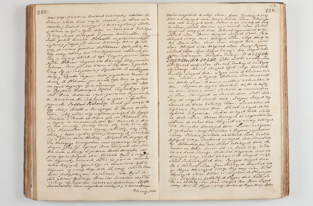 Zdjęcie nr 126 dla obiektu archiwalnego: Acta visitationis decanatus Proszoviensis et Vitoviensis vigore instrumenti delegationis a R. D. Andrea Stanislao Kostka in Załuskie Załuski, episcopo Cracoviensi, duce Severiae - emanati in persona R. D. Mathiae Josephi a Łubna Łubiński, canonici cathedralis et consistorii generalis Cracoviensis iudicis surrogati, praepositi Ressoviensis a. D. 1747 factae