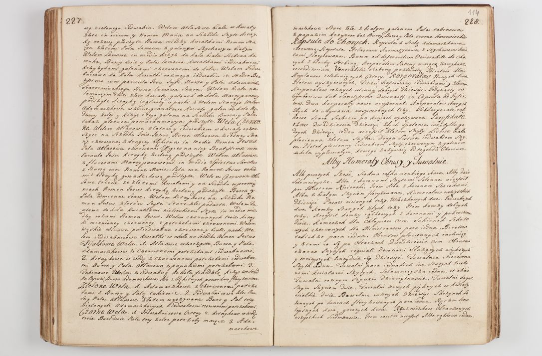 Zdjęcie nr 123 dla obiektu archiwalnego: Acta visitationis decanatus Proszoviensis et Vitoviensis vigore instrumenti delegationis a R. D. Andrea Stanislao Kostka in Załuskie Załuski, episcopo Cracoviensi, duce Severiae - emanati in persona R. D. Mathiae Josephi a Łubna Łubiński, canonici cathedralis et consistorii generalis Cracoviensis iudicis surrogati, praepositi Ressoviensis a. D. 1747 factae