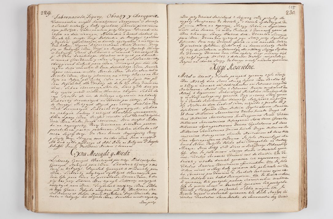 Zdjęcie nr 124 dla obiektu archiwalnego: Acta visitationis decanatus Proszoviensis et Vitoviensis vigore instrumenti delegationis a R. D. Andrea Stanislao Kostka in Załuskie Załuski, episcopo Cracoviensi, duce Severiae - emanati in persona R. D. Mathiae Josephi a Łubna Łubiński, canonici cathedralis et consistorii generalis Cracoviensis iudicis surrogati, praepositi Ressoviensis a. D. 1747 factae